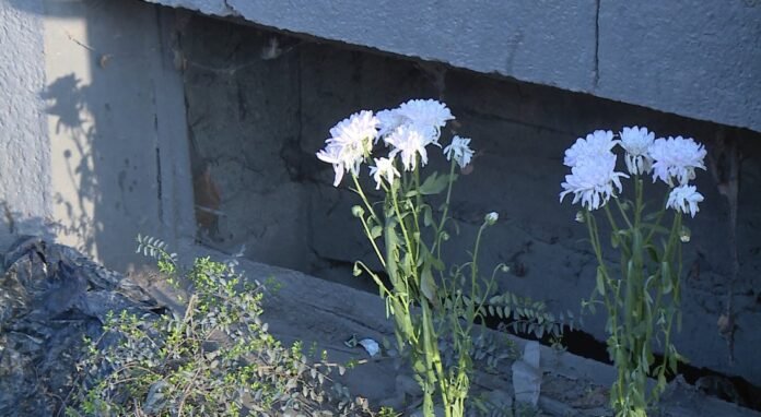 5c2d500248631ab75b203f49f12ff787.jpeg